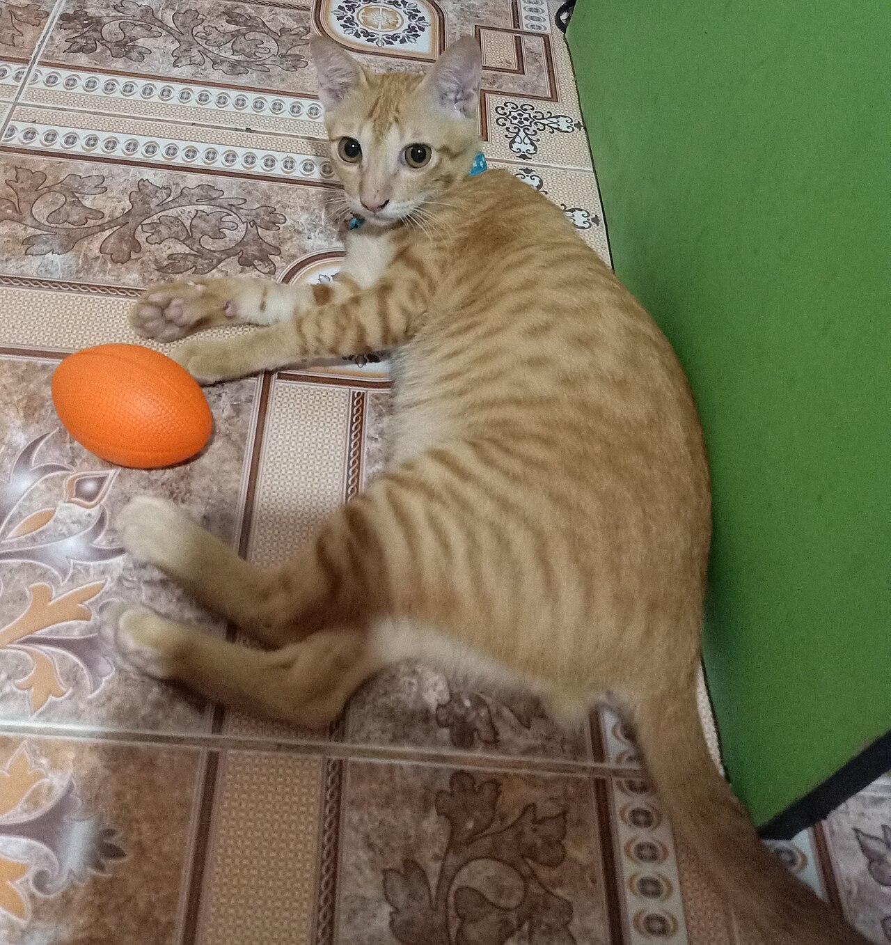 Case File 0412: The Vase, the Cat and the Sudden Breeze