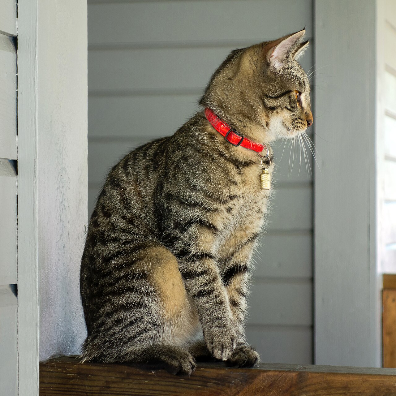Press Release: Excess Now Payable in Treats